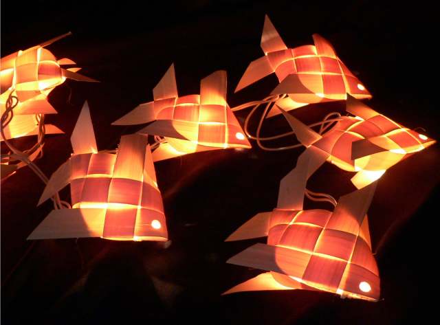Palm Fish - Fairy Lights